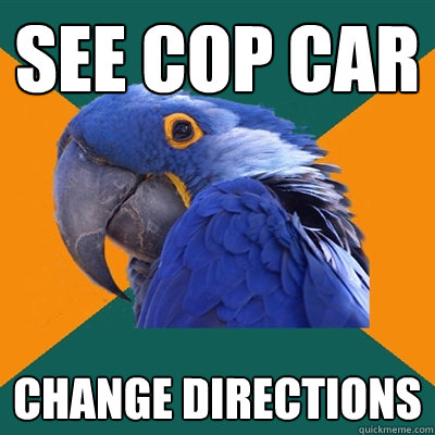 See cop car change directions - See cop car change directions  Paranoid Parrot