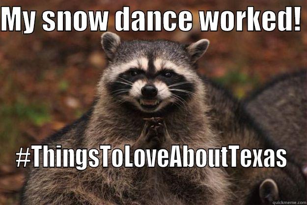 We love Texas - MY SNOW DANCE WORKED!  #THINGSTOLOVEABOUTTEXAS Evil Plotting Raccoon