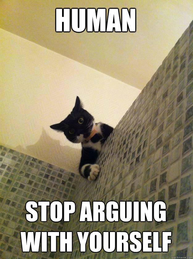 Human Stop arguing with yourself  Incredulous Cat