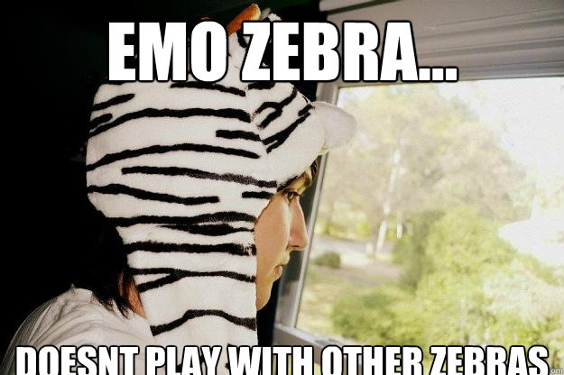 Emo zebra... Doesnt play with other zebras  Emo zebra