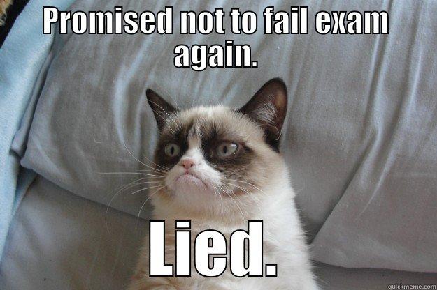 PROMISED NOT TO FAIL EXAM AGAIN. LIED. Grumpy Cat