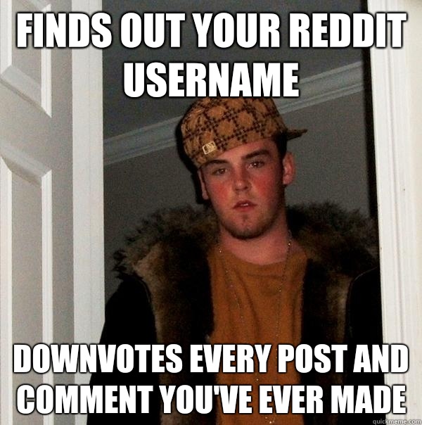 Finds out your reddit username Downvotes every post and comment you've ever made  Scumbag Steve