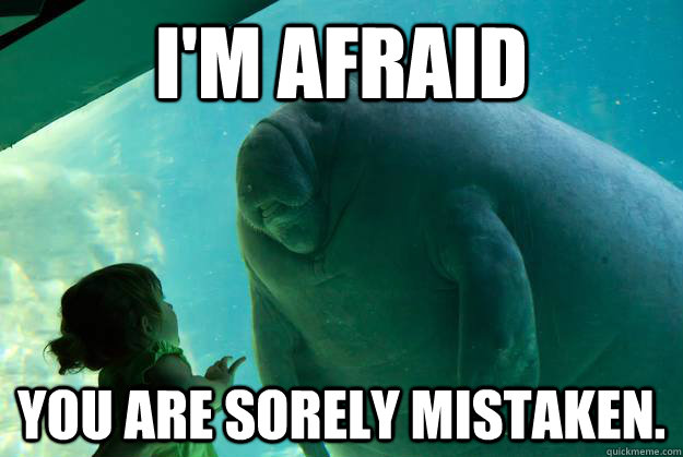 I'm afraid you are sorely mistaken.  Overlord Manatee