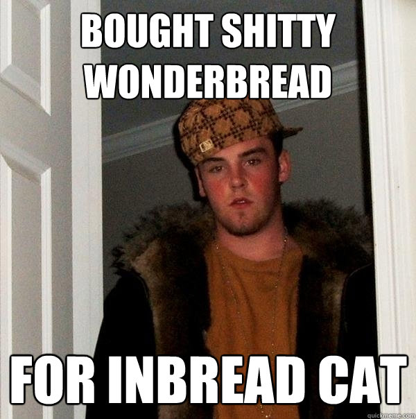 bought shitty wonderbread for inbread cat - bought shitty wonderbread for inbread cat  Scumbag Steve