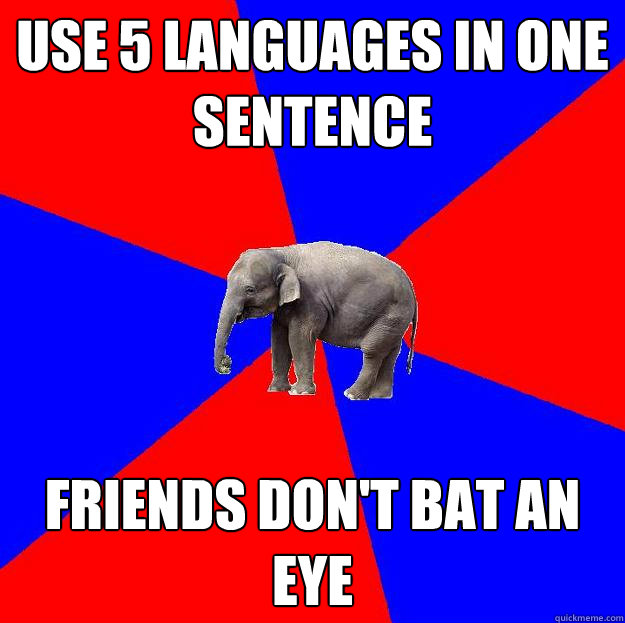 Use 5 languages in one sentence Friends don't bat an eye  Foreign language elephant