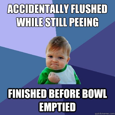 Accidentally flushed while still peeing Finished before bowl emptied  Success Kid