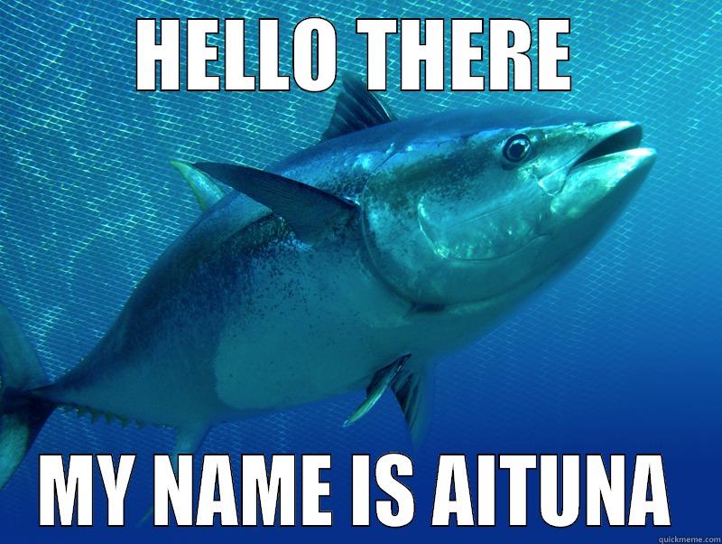 HELLO THERE MY NAME IS AITUNA Misc