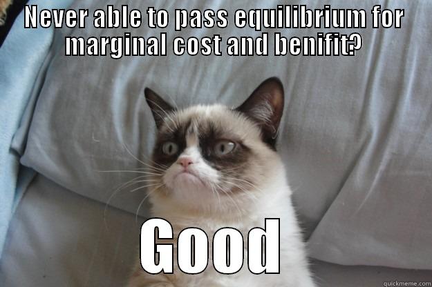 NEVER ABLE TO PASS EQUILIBRIUM FOR MARGINAL COST AND BENIFIT? GOOD Grumpy Cat