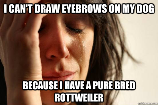 I can't draw eyebrows on my dog Because I have a pure bred rottweiler  First World Problems