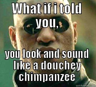 WHAT IF I TOLD YOU, YOU LOOK AND SOUND LIKE A DOUCHEY CHIMPANZEE Matrix Morpheus