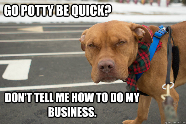 Go Potty Be Quick? Don't tell me how to do my business.  