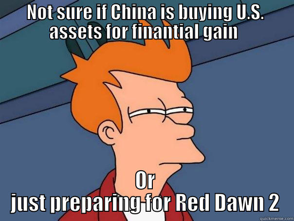 NOT SURE IF CHINA IS BUYING U.S. ASSETS FOR FINANTIAL GAIN  OR JUST PREPARING FOR RED DAWN 2 Futurama Fry