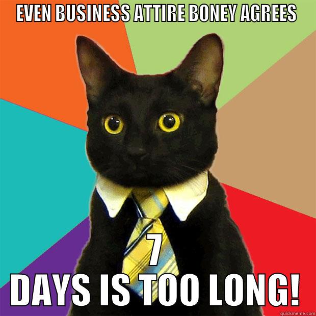 BUSINESS BONEY MARONEY - EVEN BUSINESS ATTIRE BONEY AGREES 7 DAYS IS TOO LONG! Business Cat