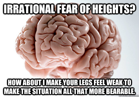 Irrational fear of heights? How about I make your legs feel weak to make the situation all that more bearable.  Scumbag Brain
