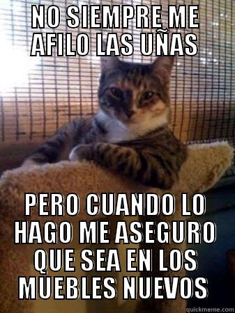 NO SIEMPRE ME AFILO LAS UÑAS PERO CUANDO LO HAGO ME ASEGURO QUE SEA EN LOS MUEBLES NUEVOS  The Most Interesting Cat in the World