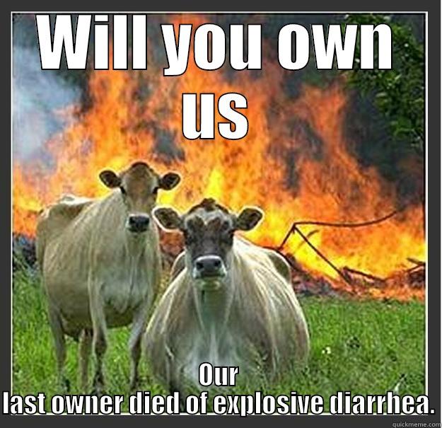 WILL YOU OWN US OUR LAST OWNER DIED OF EXPLOSIVE DIARRHEA. Evil cows