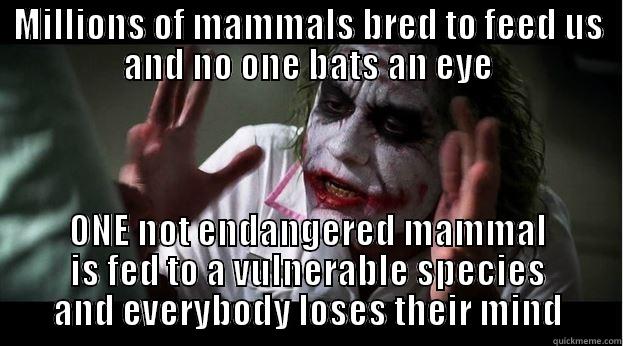 MILLIONS OF MAMMALS BRED TO FEED US AND NO ONE BATS AN EYE ONE NOT ENDANGERED MAMMAL IS FED TO A VULNERABLE SPECIES AND EVERYBODY LOSES THEIR MIND Joker Mind Loss