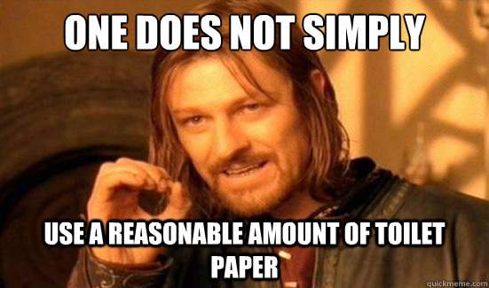 One Does Not Simply use a reasonable amount of toilet paper   Boromir