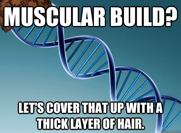 muscular build? Let's cover that up with a thick layer of hair.  Scumbag Genetics