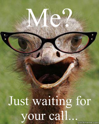 Me? Just waiting for your call...  Judgmental Bookseller Ostrich