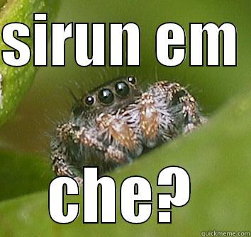 SIRUN EM  CHE? Misunderstood Spider