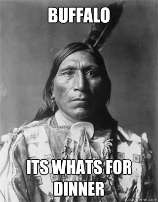 Buffalo Its whats for dinner - Buffalo Its whats for dinner  Vengeful Native American