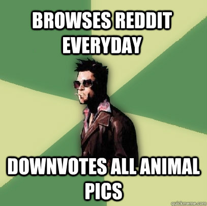 Browses Reddit everyday Downvotes all animal pics  Helpful Tyler Durden