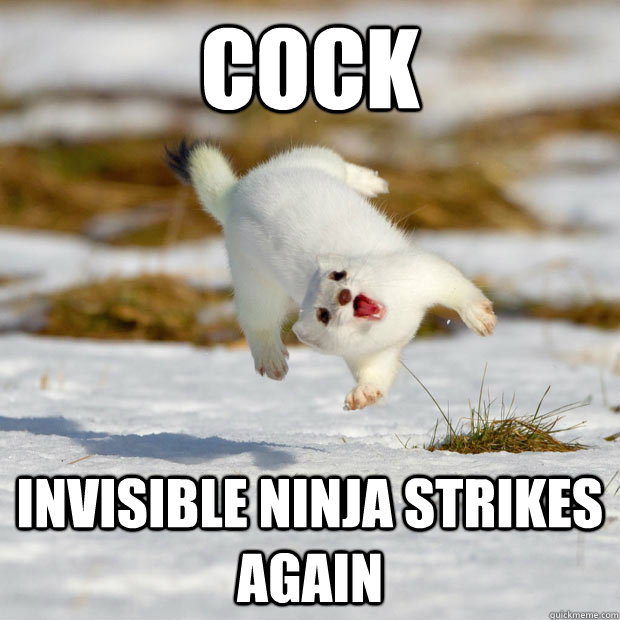 Cock Invisible ninja strikes again - Cock Invisible ninja strikes again  White Stoat