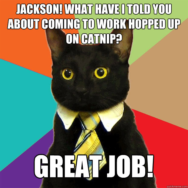 Jackson! What have I told you about coming to work hopped up on catnip? Great job!  Business Cat