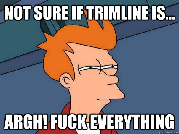 Not sure if trimline is... Argh! Fuck everything - Not sure if trimline is... Argh! Fuck everything  Futurama Fry