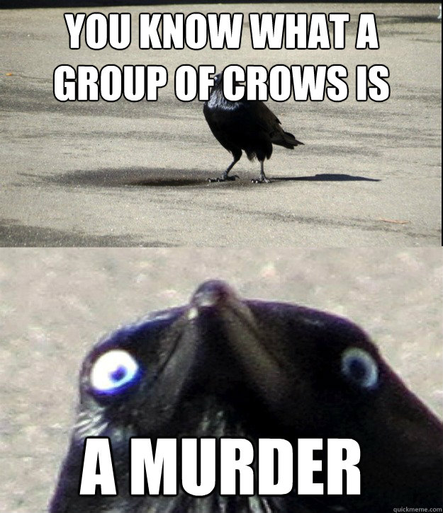 you know what a group of crows is called? A murder  Insanity Crow