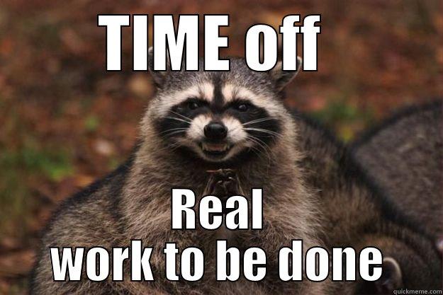 TIME OFF  REAL WORK TO BE DONE Evil Plotting Raccoon