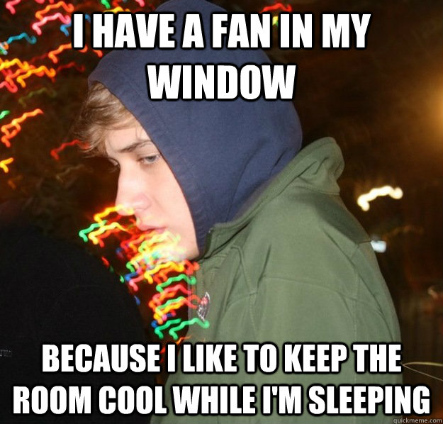 I have a fan in my window because i like to keep the room cool while i'm sleeping  