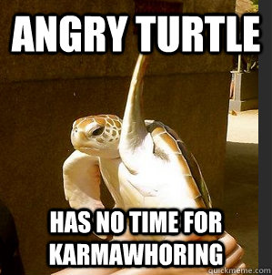 Angry turtle Has no time for karmawhoring  