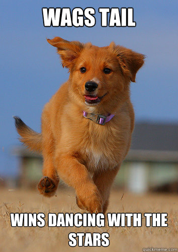 wags tail wins dancing with the stars  Ridiculously Photogenic Puppy