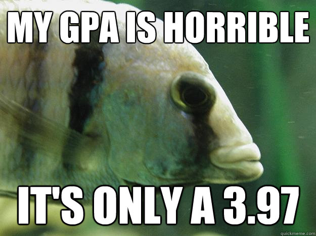 My gpa is horrible it's only a 3.97  Premed Fish