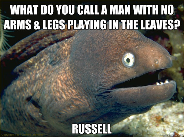 What do you call a man with no arms & legs playing in the leaves? Russell  Bad Joke Eel