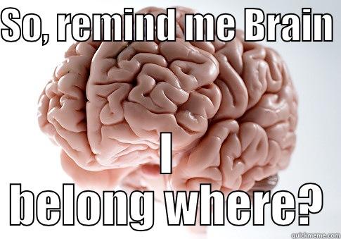 SO, REMIND ME BRAIN  I BELONG WHERE? Scumbag Brain