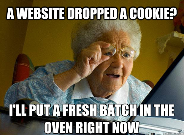 A WEBSITE DROPPED A COOKIE? I'LL PUT A FRESH BATCH IN THE OVEN RIGHT NOW    Grandma finds the Internet