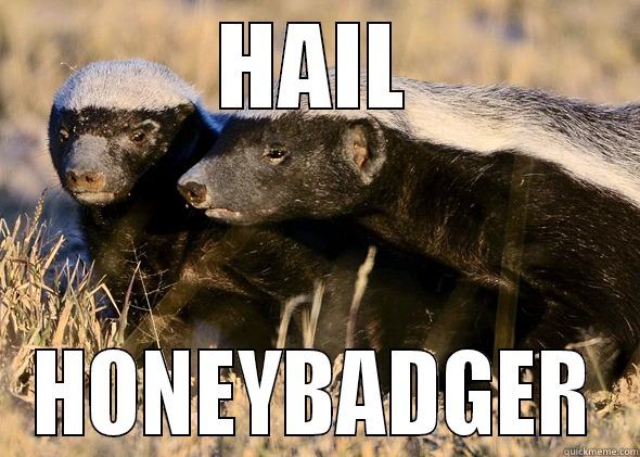 Hail Hydra - HAIL HONEYBADGER Misc