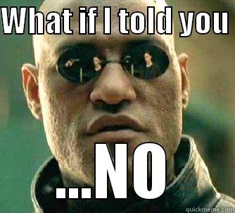 WHAT IF I TOLD YOU  ...NO Matrix Morpheus