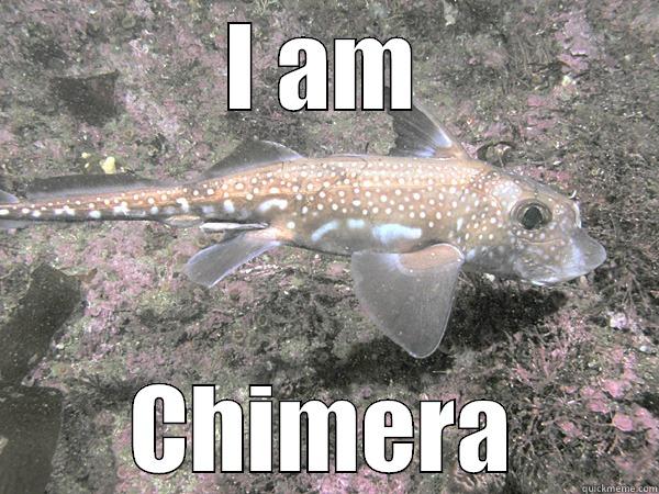 Happy Happy Super Chimera Funtime - I AM CHIMERA Misc