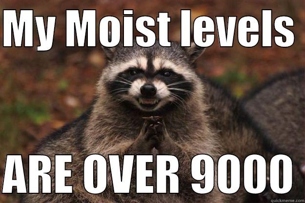 Moistness of the racoon - MY MOIST LEVELS   ARE OVER 9000 Evil Plotting Raccoon