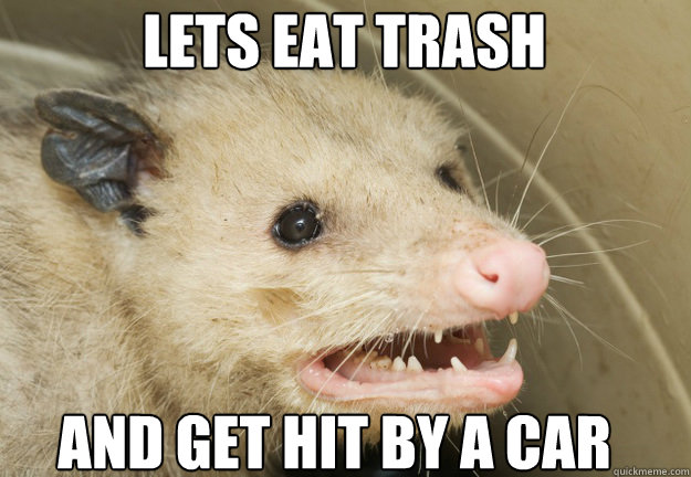 Lets eat trash and get hit by a car  