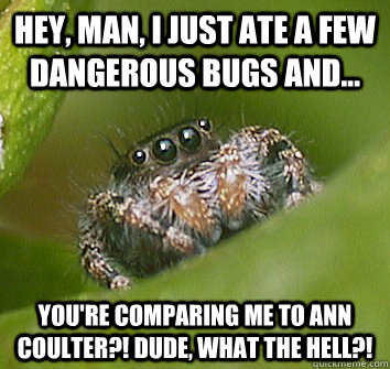 Hey, man, I just ate a few dangerous bugs and... YOU'RE COMPARING ME TO ANN COULTER?! DUDE, WHAT THE HELL?! - Hey, man, I just ate a few dangerous bugs and... YOU'RE COMPARING ME TO ANN COULTER?! DUDE, WHAT THE HELL?!  Misunderstood Spider