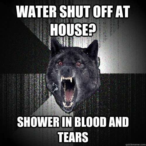 Water shut off at house? Shower in blood and tears  Insanity Wolf