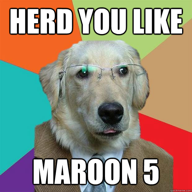 herd you like maroon 5  Business Dog