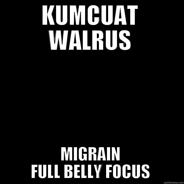 KUMCUAT WALRUS MIGRAIN FULL BELLY FOCUS Misc