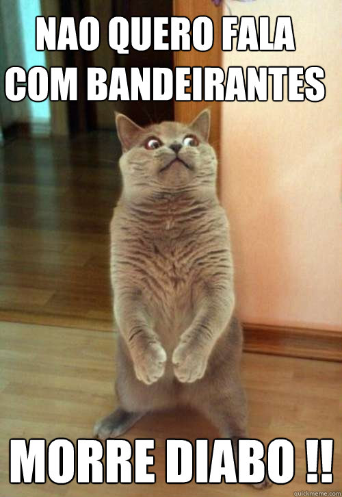 Nao quero fala com bandeirantes MORRE DIABO !!  Horrorcat