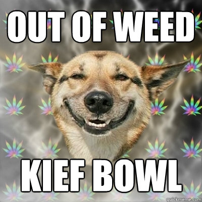 Out of weed Kief Bowl - Out of weed Kief Bowl  Stoner Dog